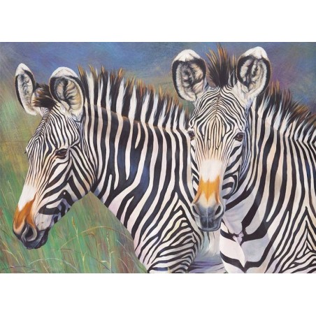 Schilderen op nr. GREVY'S ZEBRA