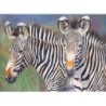 Schilderen op nr. GREVY'S ZEBRA
