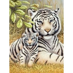 Schilderenopnr.:WhiteTigerPairPJS76