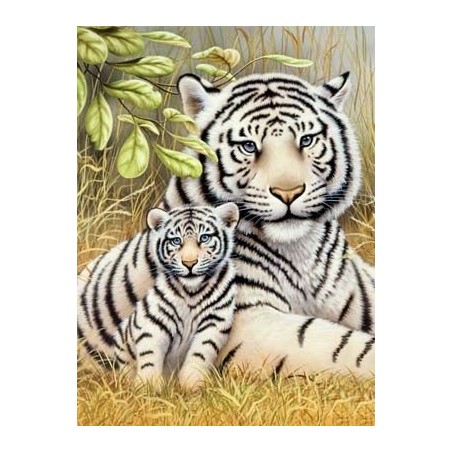 Schilderenopnr.:WhiteTigerPairPJS76