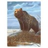 Schilderenopnr: Grizzly Bear