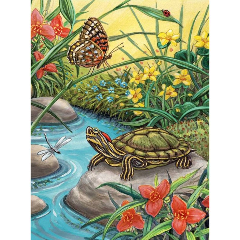 Schilderen op nr.: RED EARED SLIDER