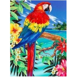 Schilderen op nr.: SCARLET MACAW