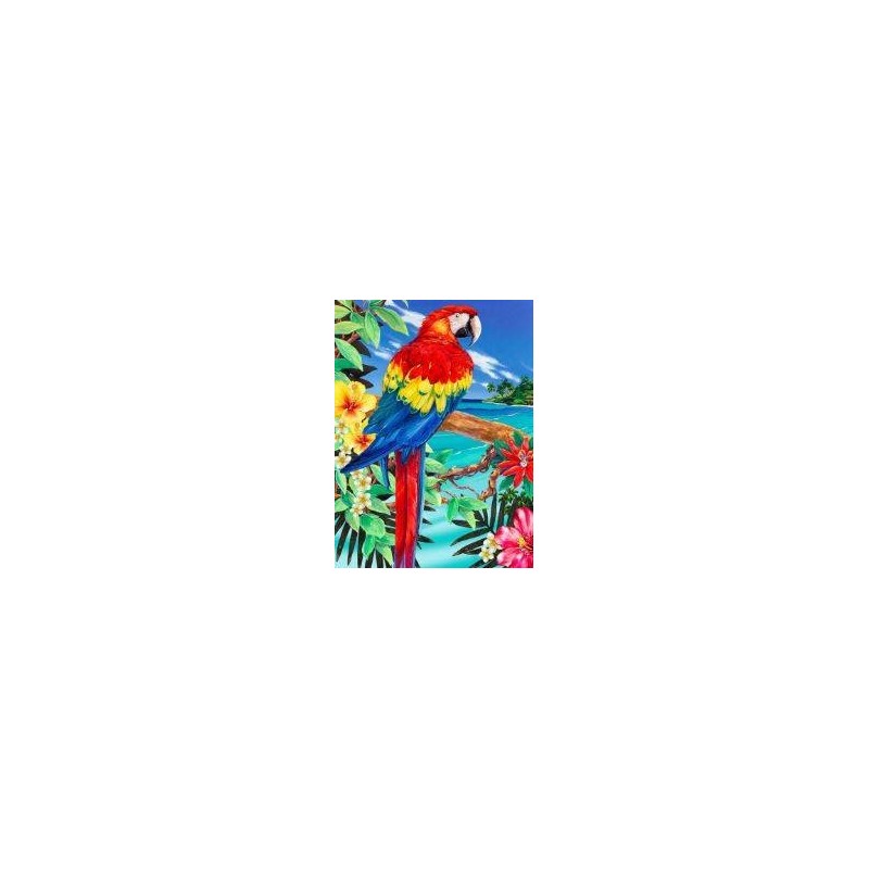 Schilderen op nr.: SCARLET MACAW