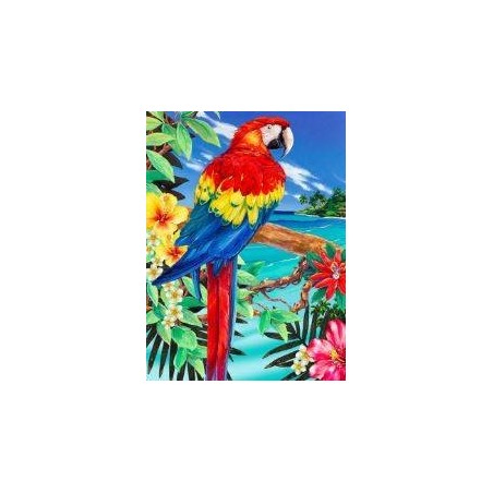Schilderen op nr.: SCARLET MACAW