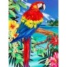 Schilderen op nr.: SCARLET MACAW