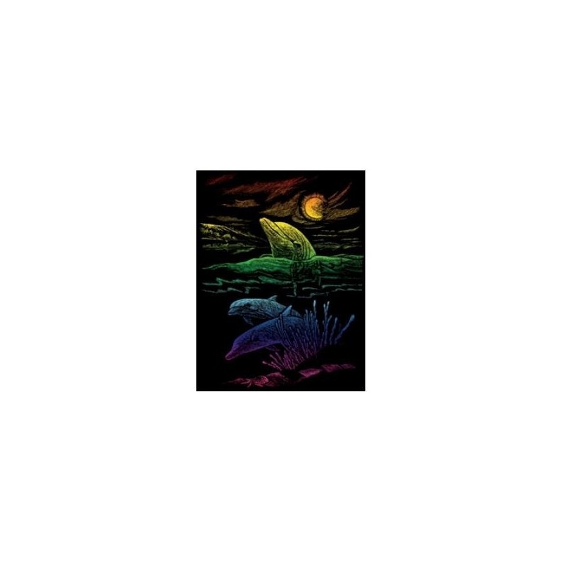 Scrappfolie Rainbow Dolphin Reef