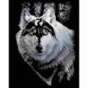 Scrappfolie Zilver Dragon Wolf