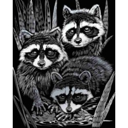 Scrappfolie Zilver Raccoons 46