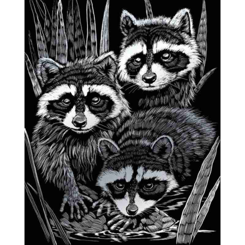 Scrappfolie Zilver Raccoons 46