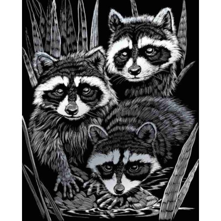 Scrappfolie Zilver Raccoons 46