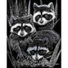 Scrappfolie Zilver Raccoons 46