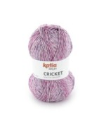 Cricket
