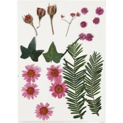 Gedroogde bloemen en bladeren lichtrood