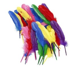 Veren diverse kleuren ongeveer 20 cm /36 stuk