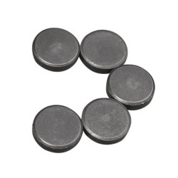 Magneet 20mm                  /5st