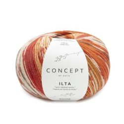 ILTA SOCKS 201 Tostados rojo marron 100
